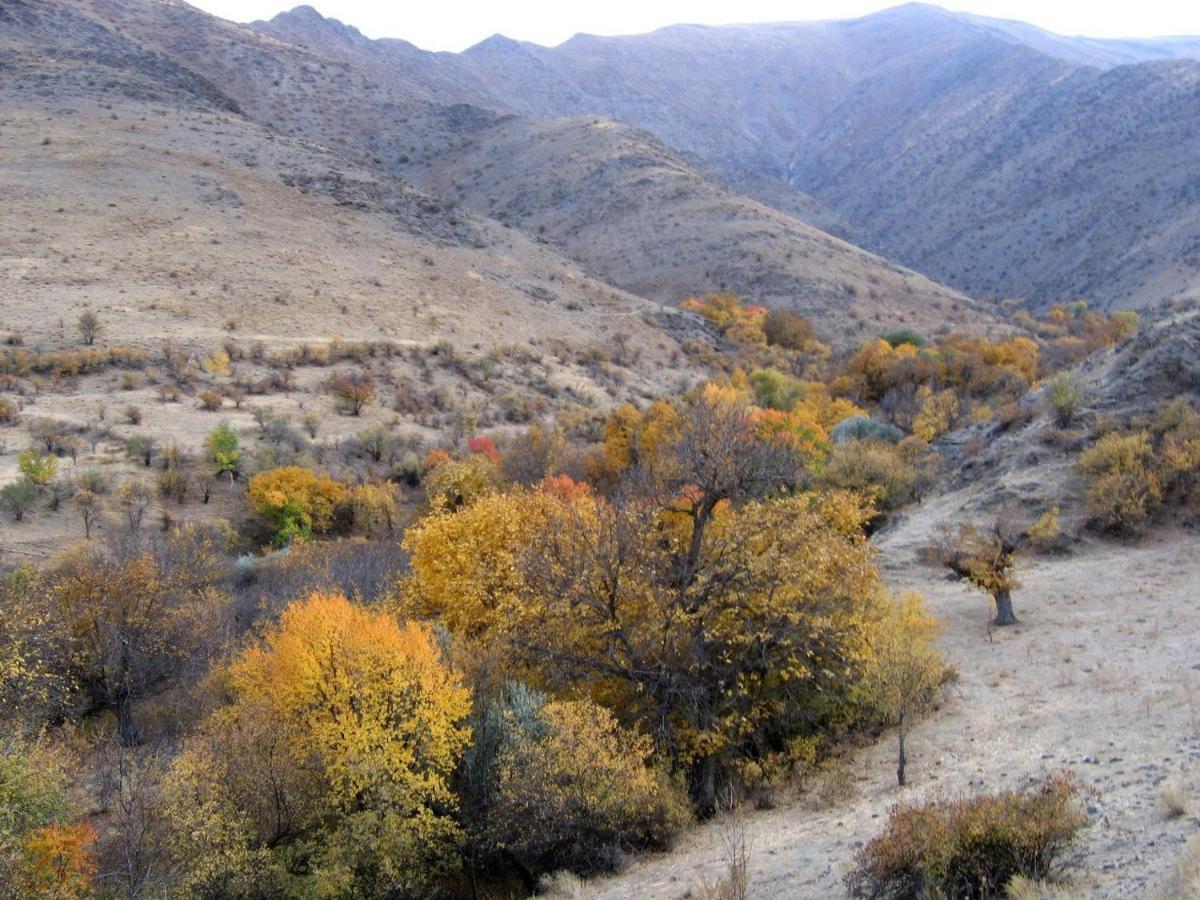 Hayat Guesthouse Nuratau Mountains Yukary-Ukhum 外观 照片